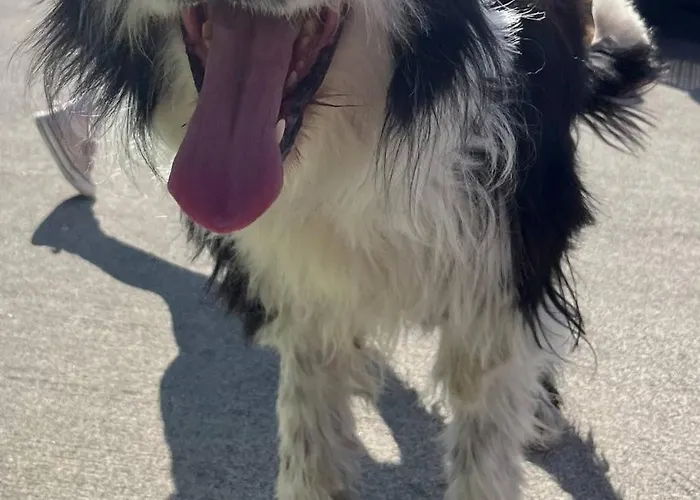 Cosy Hideaway 3km From Town * Cavan